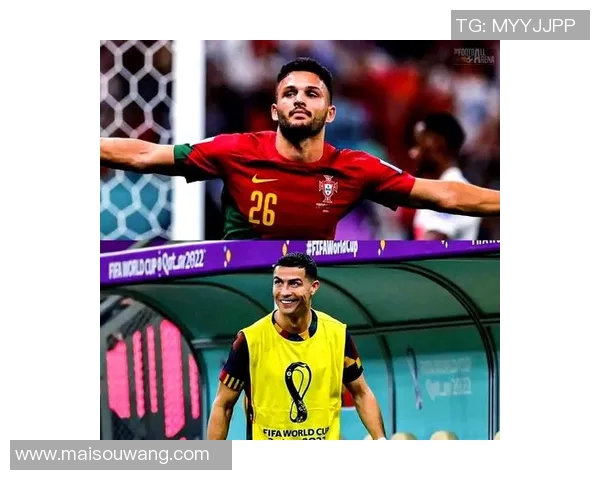 葡萄牙足球国家队球星的辉煌历程与未来展望